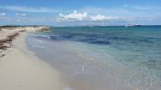 Fondo arenoso en playa de sa Senyora Espalmador