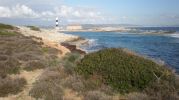 Costa este de la playa con faro al fondo y ms lejos Ibiza