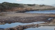 Se alternan zonas de arena, posidonia y rocas