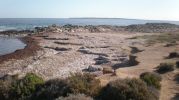 Vista este de la playa