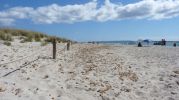 Zona acordonada para proteger las dunas de las pisadas