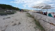 Tronco de rbol en zona central de la playa de ses canyes formentera