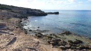 Rocas piedras y restos de rboles en la costa del Cal d'es Mort