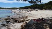 dos  turistas a la sombra de un rbol en un caluroso dia