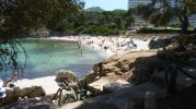 playa desde la sombra de un rbol