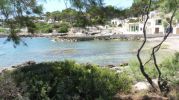 playa desde la sombra de un rbol