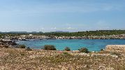 playa ncamente rodeada por vegetacin tpica de la zona