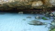 playa muy cerca de esta con sombrillas