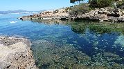 playa con rocas y algas en el fondo