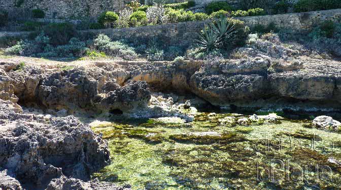 Cal des Moro