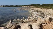 agua poco profundas con algas en el fondo