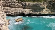 rocas erosionadas por las olas