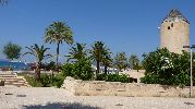 jardines y un molino cerca de la playa