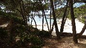 vista de la playa desde la sombra de los arboles