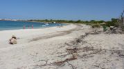 playa desde la sombra de un rbol