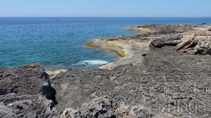 Cal des Moro