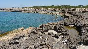 pequeos charcos de agua en los agujeros de entre las rocas