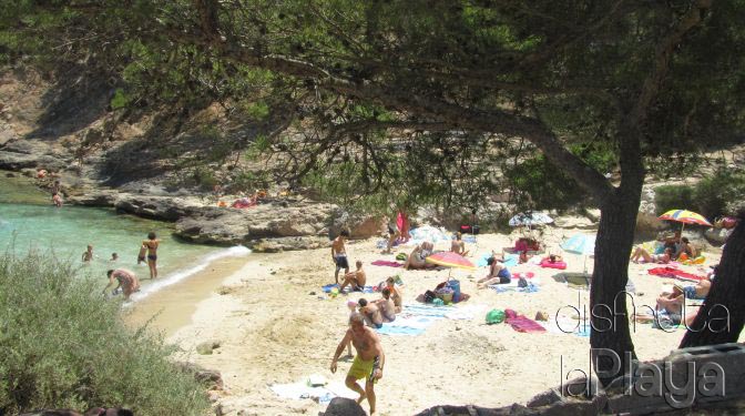 Cala Cap de Figuera