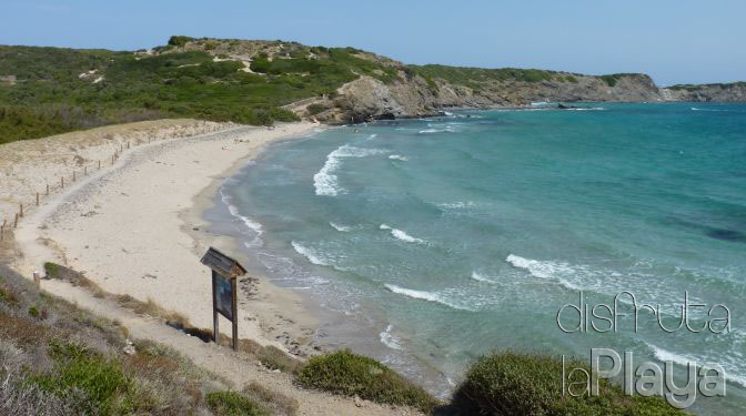 Platja d´en Tortuga