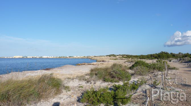 Cal des Moro