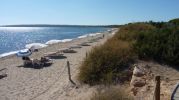 Playa Es Ca Mar con una fila de tumbonas y sombrillas