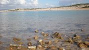 Piedras en el fondo marino