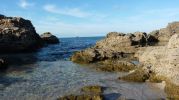 Orilla de playa en Rac de s'Anfossol