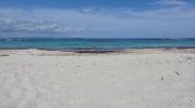 Baista en playa de ses canyes zona con posidonia en la orilla