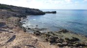 Rocas piedras y restos de rboles en la costa del Cal d'es Mort