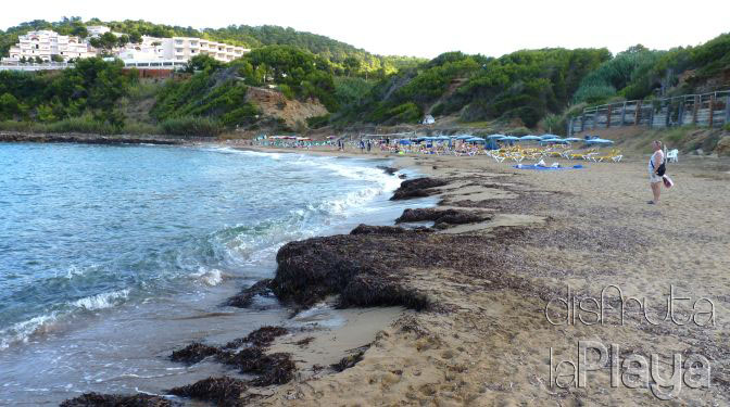 Cal des Moro