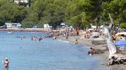 http://www.disfrutalaplaya.com/es/Mallorca/Alcudia/Playa-Platja-de-lAlcanada/fullsize/