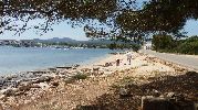 vista de la playa desde la sombra de un rbol