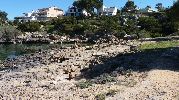 orilla llena de grandes rocas