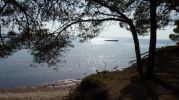 playa desde la sombra de un rbol