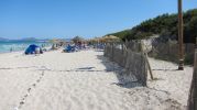 http://www.disfrutalaplaya.com/es/Mallorca/Muro/Playa-Platja-de-Muro-Sector-II/fullsize/