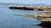 hombre buscando cangrejos en las rocas