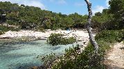 playa rodeada de vegetacin tpica de la zona