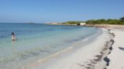 playa rodeada de vegetacin tpica de la zona