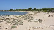 http://www.disfrutalaplaya.com/es/Mallorca/Ses-Salines/Playa-Es-Dofi/fullsize/