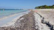 playa con mucha arena y pocas rocas