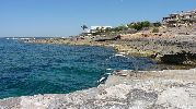 http://www.disfrutalaplaya.com/es/Mallorca/Ses-Salines/Playa-Punta-des-Tords/fullsize/