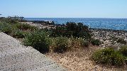 paseo de madera que cruza la playa